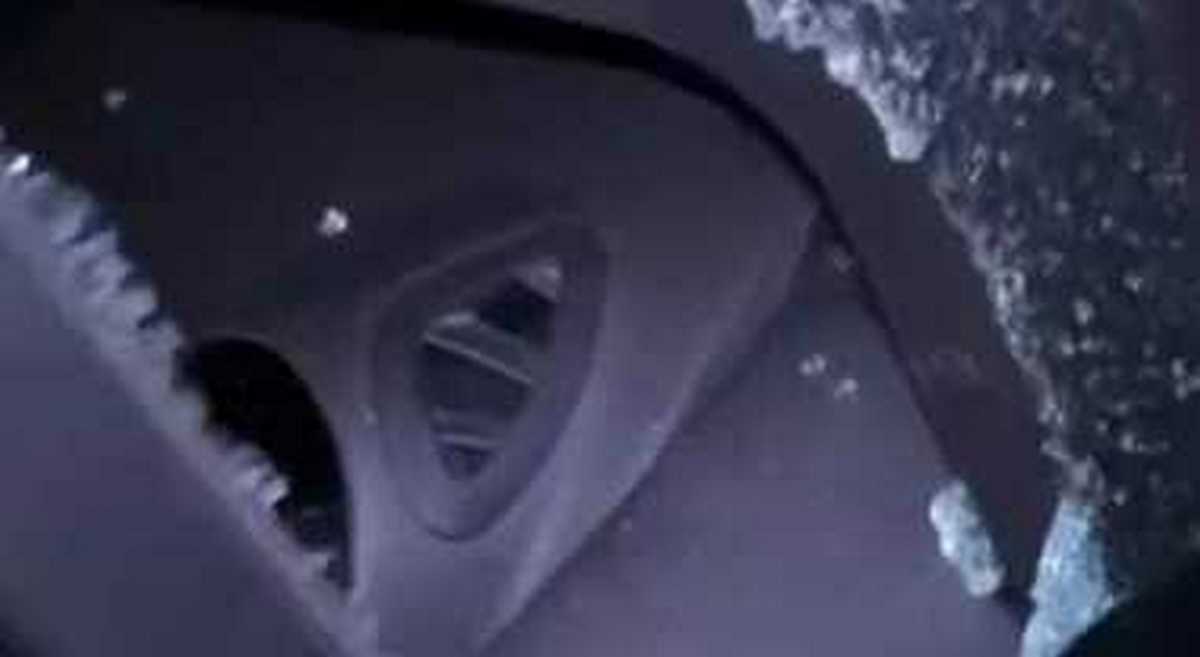 parcheggiatore abusivo rompe finestrino napoli denuncia 23 febbraio