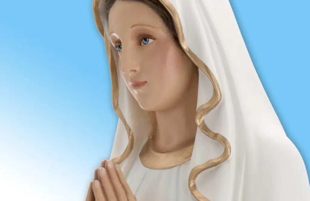 Signora Lourdes Salerno