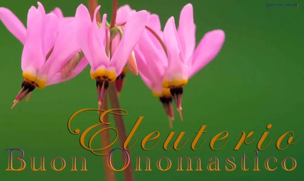 Buon onomastico Eleuterio