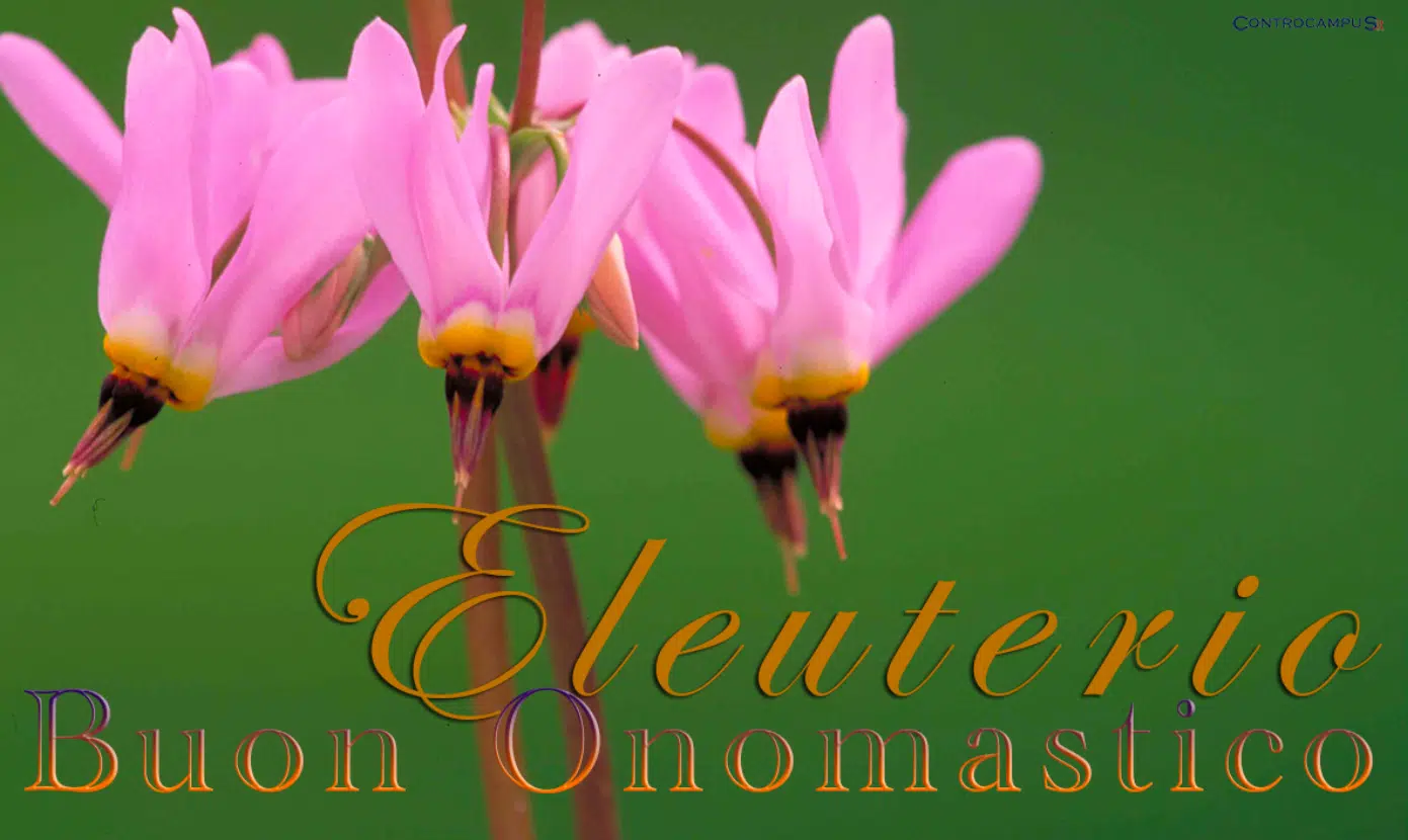 Buon onomastico Eleuterio