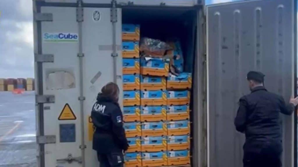 Gioia Tauro, maxi sequestro di cocaina al porto