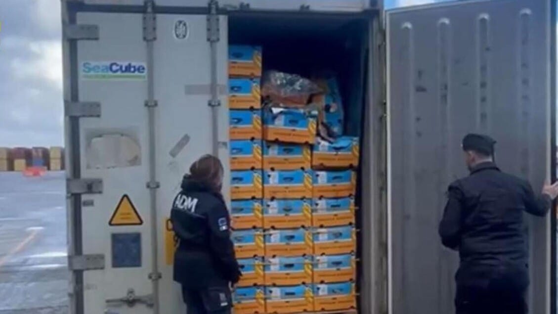 Gioia Tauro, maxi sequestro di cocaina al porto