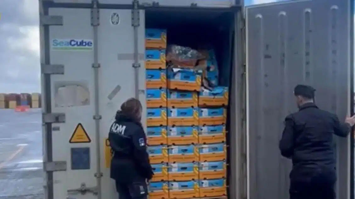 Gioia Tauro, maxi sequestro di cocaina al porto