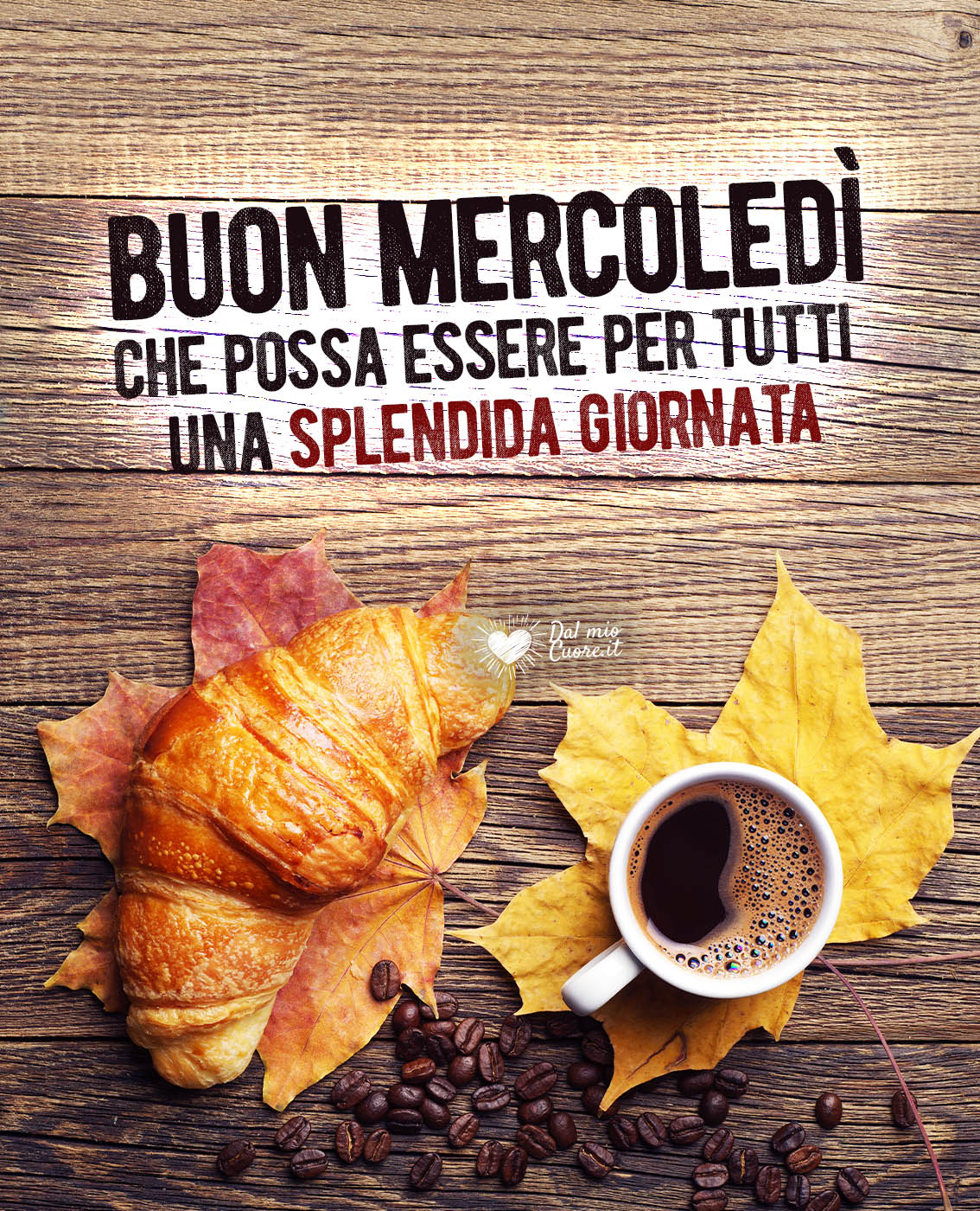 buon 19 febbraio 2025 frasi immagini più belle