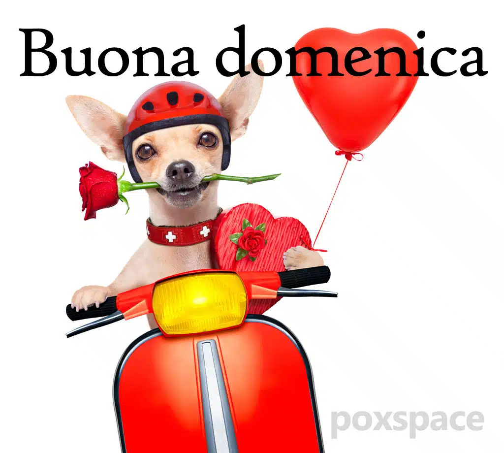 buon 16 febbraio 2025 frasi immagini più belle