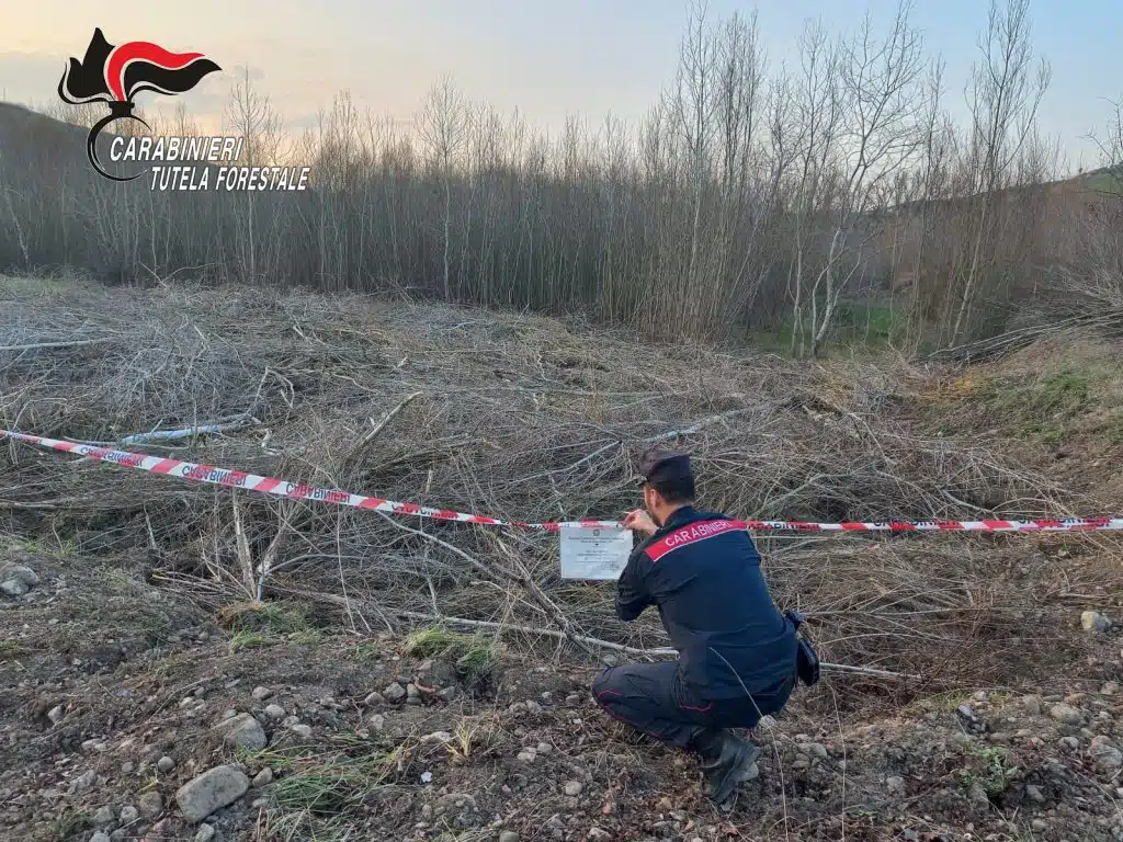 Lavori non autorizzati in un bosco, due persone nei guai ad Ariano Irpino