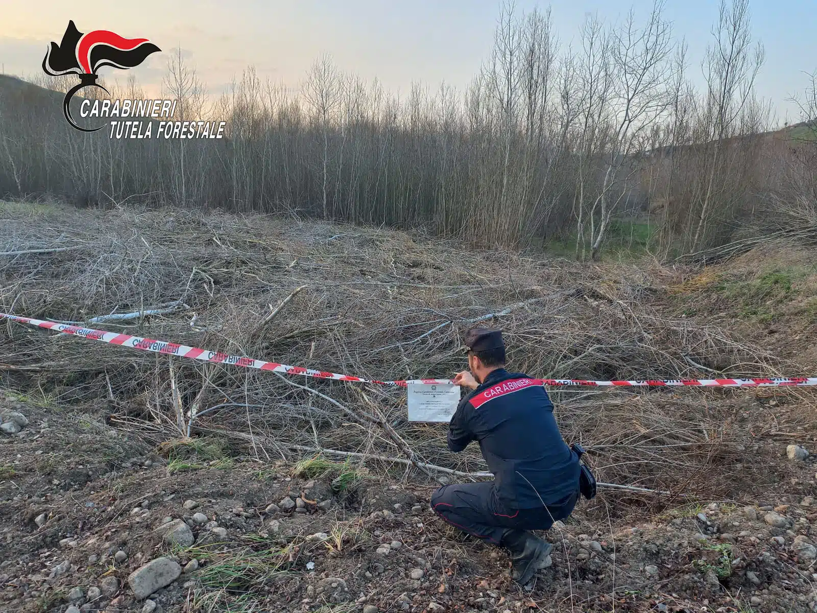Lavori non autorizzati in un bosco, due persone nei guai ad Ariano Irpino