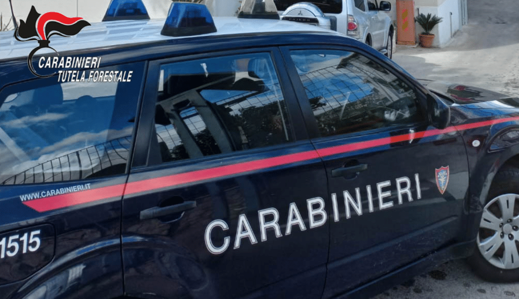 denunciato imprenditore Mercogliano