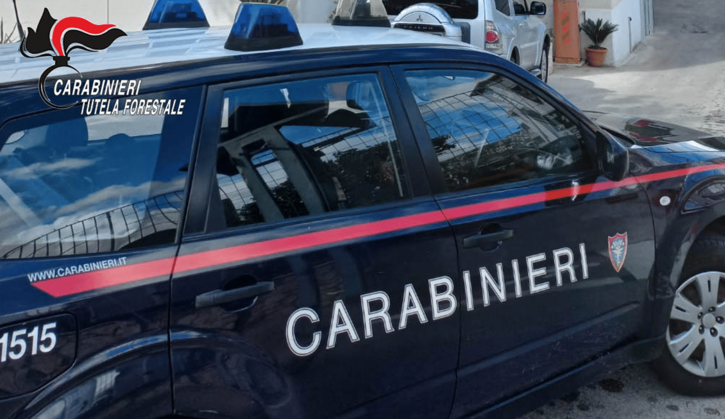 denunciato imprenditore Mercogliano