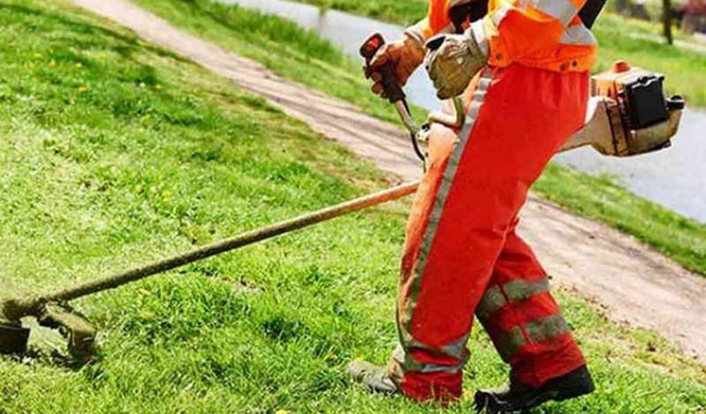 Salerno Pulita gestirà la manutenzione del verde pubblico: via libera dal Consiglio comunale