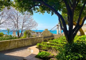 Riapre il Giardino della Minerva: completata la piantumazione, apertura prevista entro fine giugno
