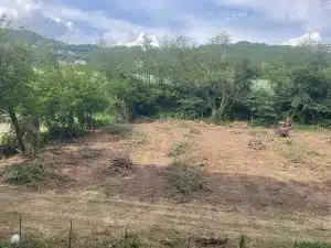 Abbattimento alberi salerno