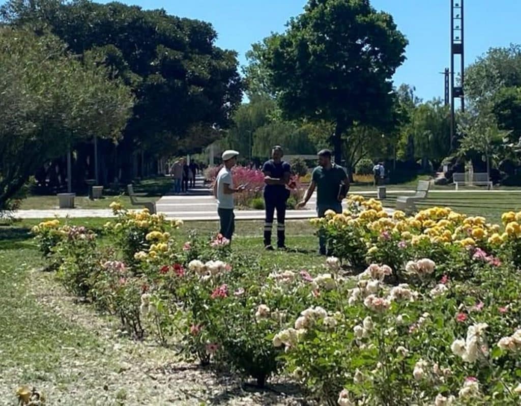 vandalismo salerno parco mercatello proposta assessore