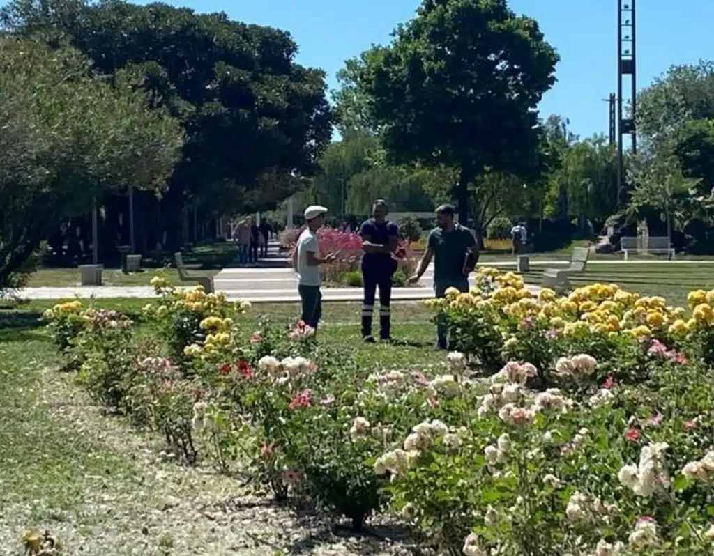 vandalismo salerno parco mercatello proposta assessore