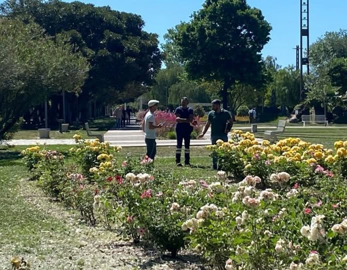 vandalismo salerno parco mercatello proposta assessore