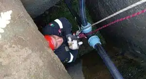cannalonga cuccioli salvati tombino