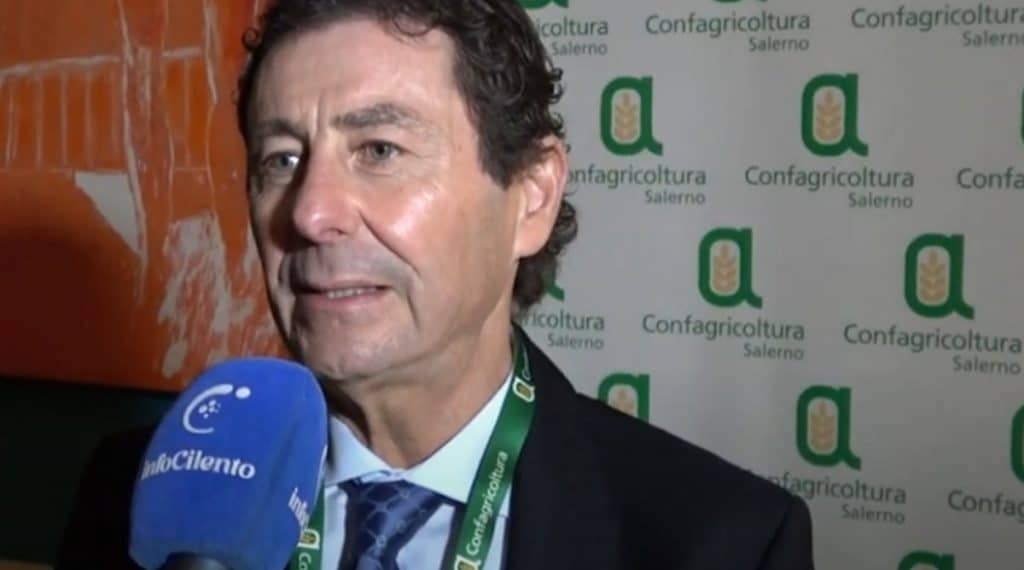 proposta confagricoltura salerno voli berlino madrid