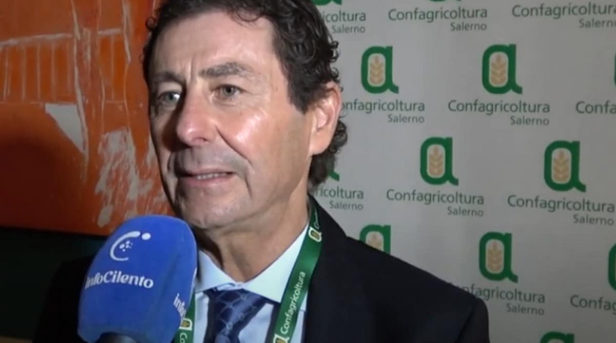 proposta confagricoltura salerno voli berlino madrid