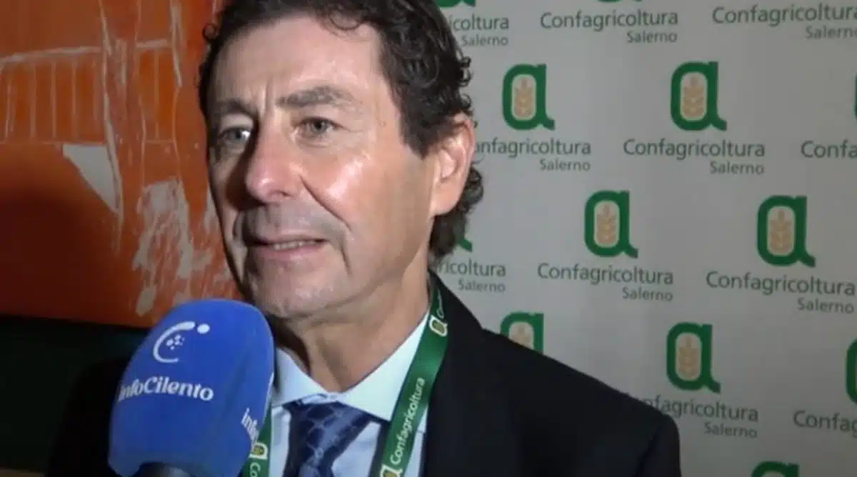 proposta confagricoltura salerno voli berlino madrid