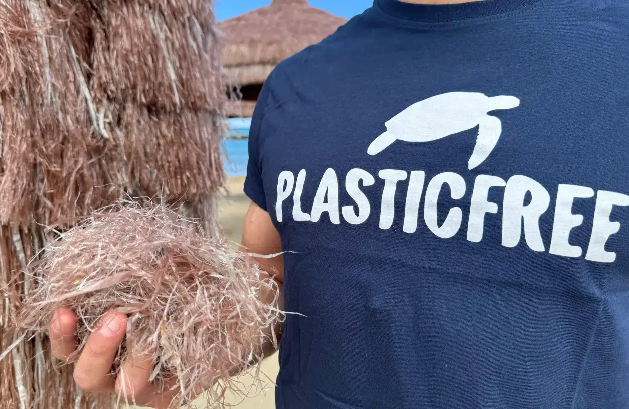 Campania inquinamento plastica