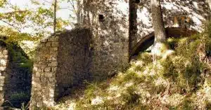 Escursioni Sessa Cilento