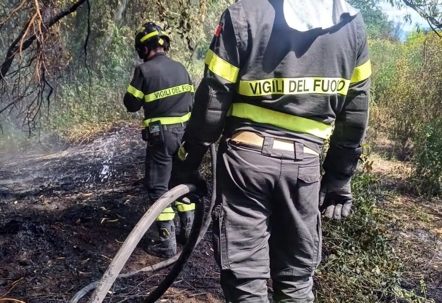 Marina di Eboli, incendio nella pineta: è iniziata la stagione dei roghi?