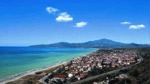 ascea diritto rappresentanza csa provinciale