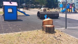 Protesta alberi tagliati Salerno