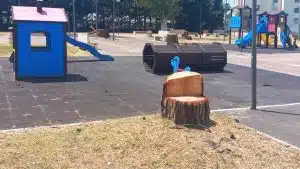 Protesta alberi tagliati Salerno