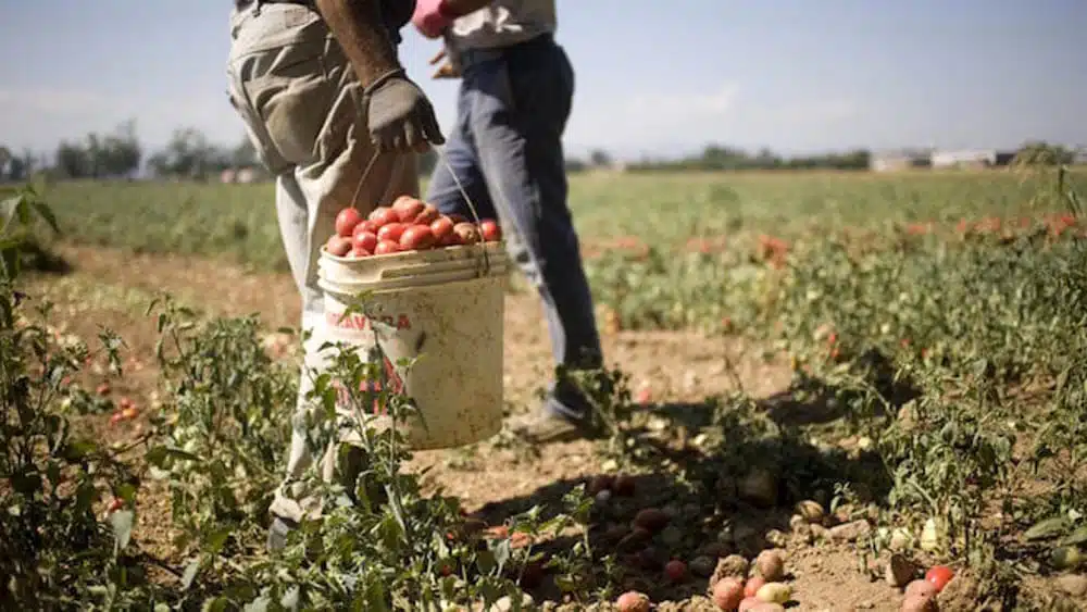 Agromafie salerno