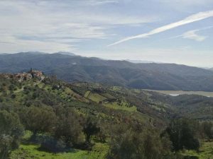cicerale giornata ecologica