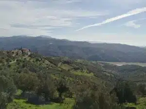 cicerale giornata ecologica