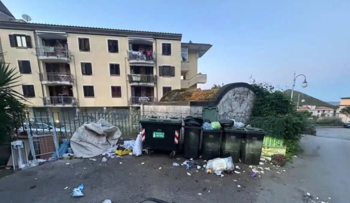 vietri sanzioni abbandono rifiuti