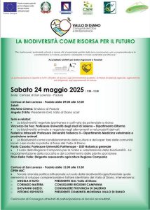 concluso gal vallo diano padula