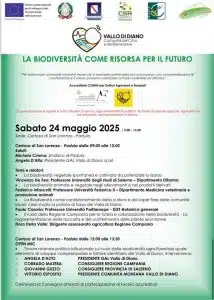 concluso gal vallo diano padula
