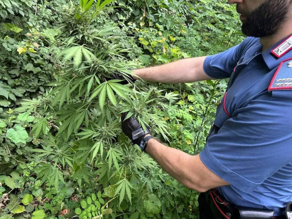 positano arresto sequestri 29 maggio