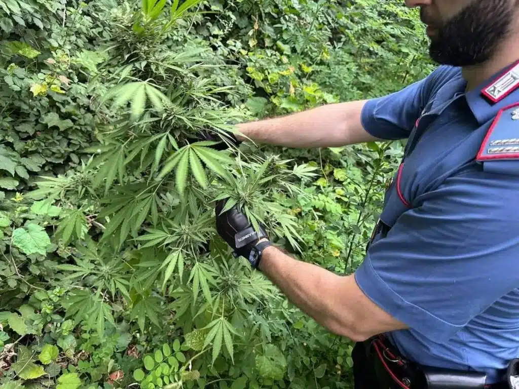 positano arresto sequestri 29 maggio