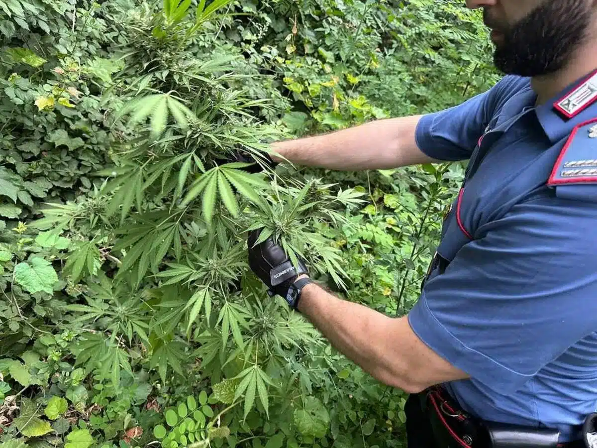 positano arresto sequestri 29 maggio