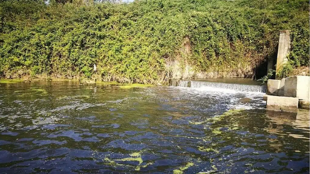 capaccio paestum scarico abusivo reflui denunciato