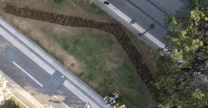 salerno-salerno-aiuole-fiorite-sul-lungomare-trieste-piantumati-nuovi-fiori-estivi-da-salerno-pulita