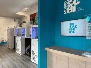camerota museo infreschi inaugurazione cogestione sea academy