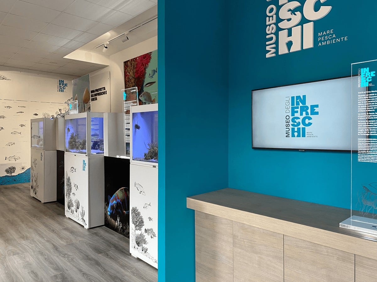 camerota museo infreschi inaugurazione cogestione sea academy