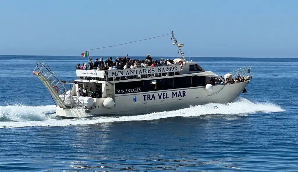 Traffico marittimo, Travelmar registra un incremento del 20% rispetto al 2024