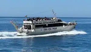 Traffico marittimo, Travelmar registra un incremento del 20% rispetto al 2024