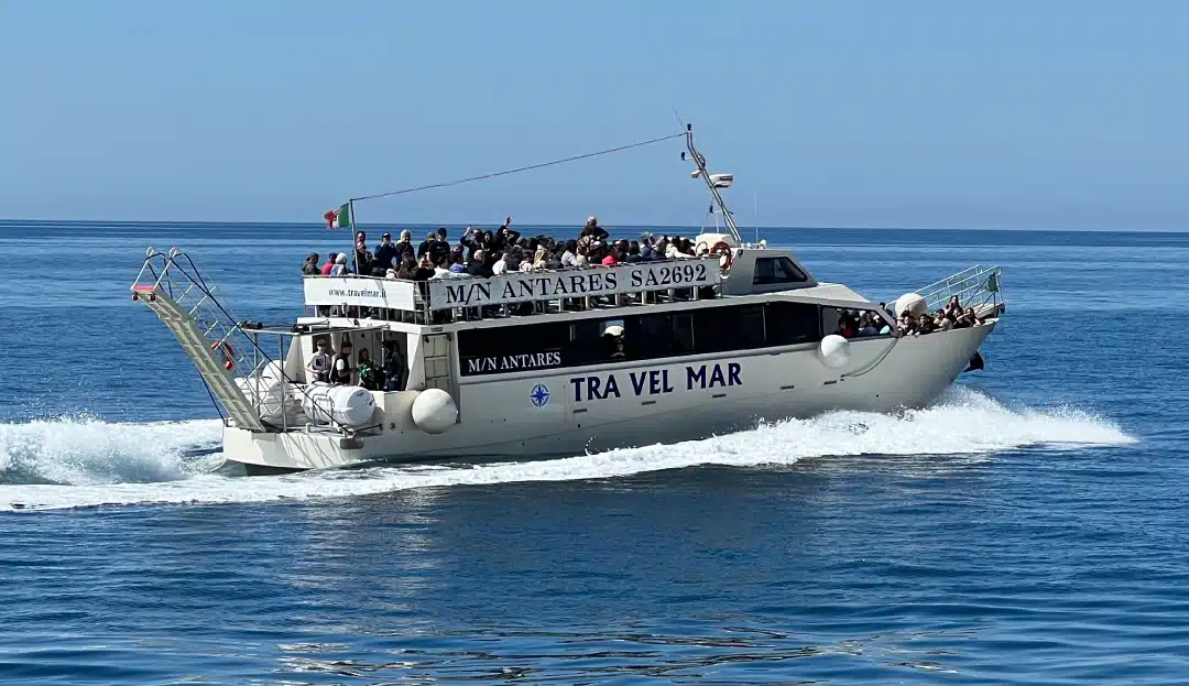 Traffico marittimo, Travelmar registra un incremento del 20% rispetto al 2024