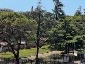 Battipaglia regolamento verde pubblico