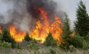 Agropoli ordinanza incendi