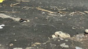 Degrado spiaggia Salerno