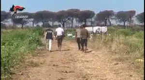 permessi falsi salerno condanne 26 giugno