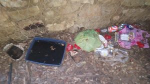 altavilla silentina degrado parco la foresta